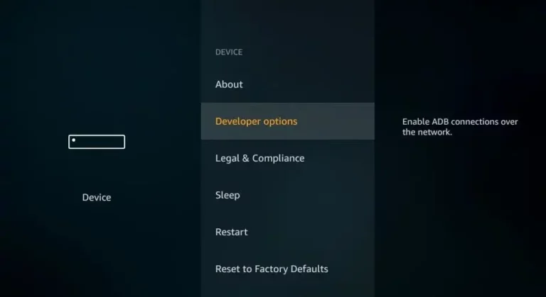 Firestick settings screen showing the hidden Developer Options menu